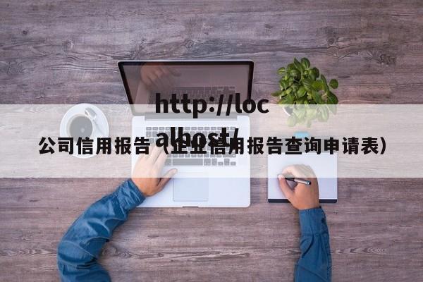 公司信用报告（企业信用报告查询申请表）